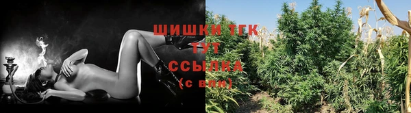 таблы Надым