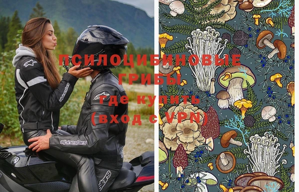 шишки Навашино