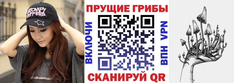 Купить где  Валуйки  Галлюциногенные грибы Psilocybine cubensis 